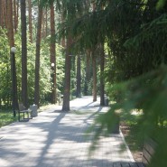Фото: МАУ «Дирекция городских парков»