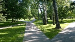 Пешеходная экскурсия «Нарымский оазис»