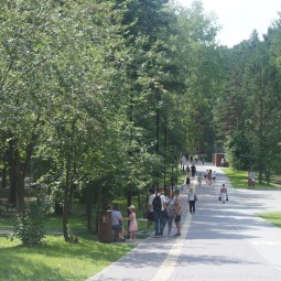 Заельцовский парк